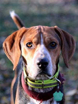 thumb 1 IMG 4377 Large