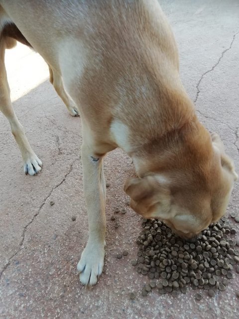 1 5PHOTO 2018 10 29 10 20 31