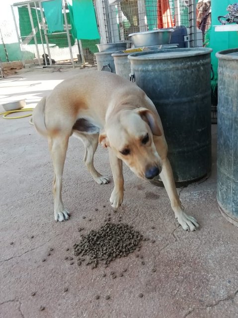 1 6PHOTO 2018 10 29 10 20 31