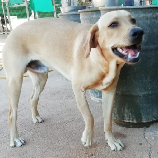 1 7PHOTO 2018 10 29 10 20 31