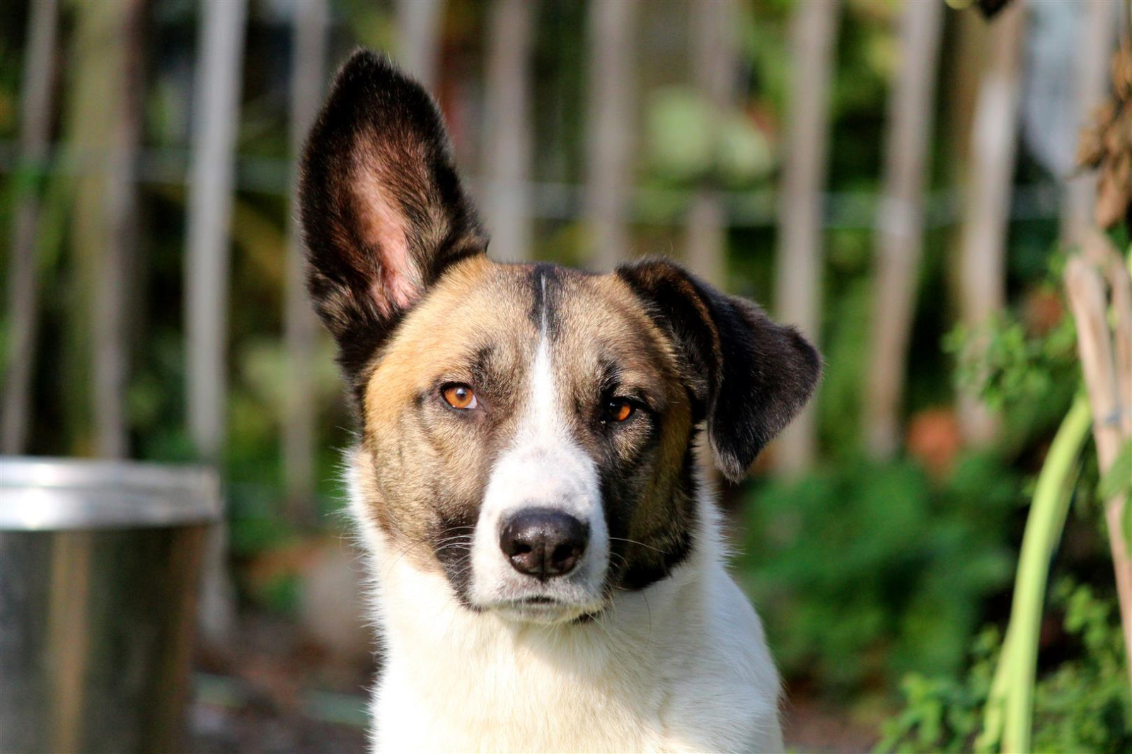 PHOTO 2018 10 15 08 21 09