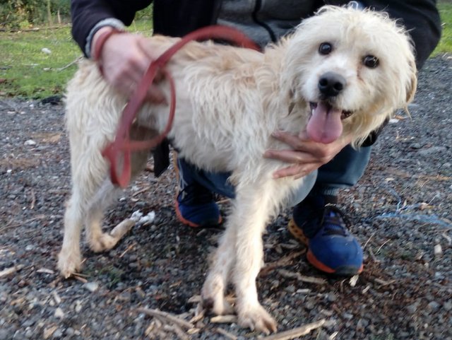 1 2PHOTO 2019 02 01 17 51 40