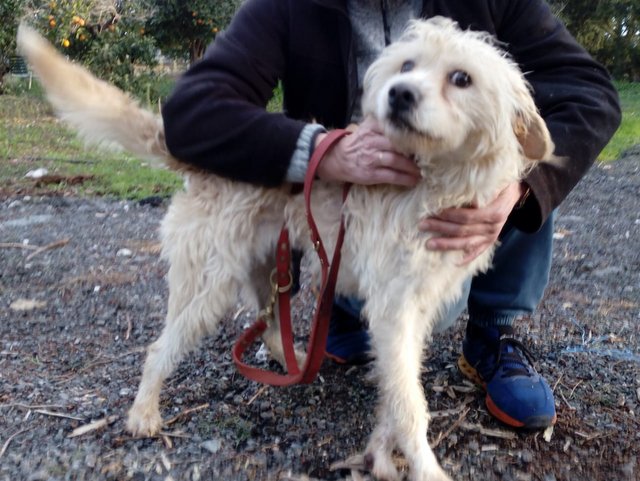 1 3PHOTO 2019 02 01 17 51 41