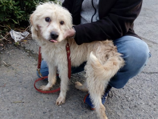 1 7PHOTO 2019 02 01 17 51 45