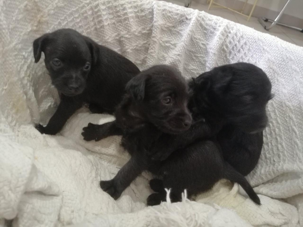 PHOTO 2020 07 10 19 30 44