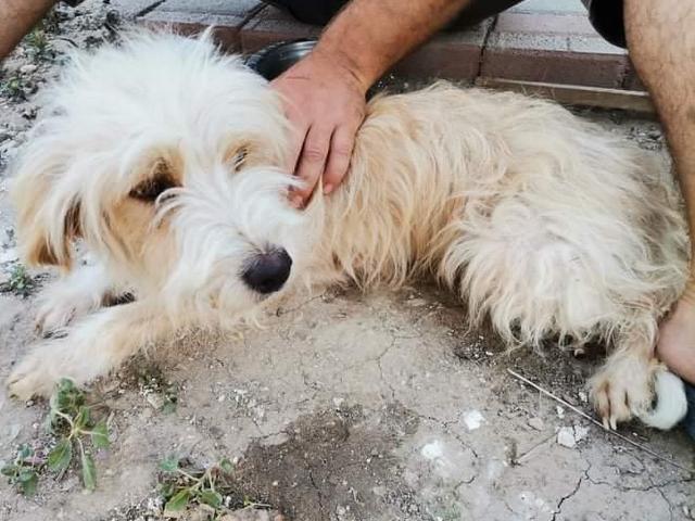 1 IMG 20200704 WA0047