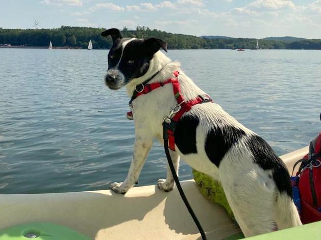 1 3PHOTO 2020 08 08 17 34 044