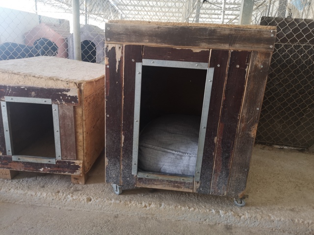 1 IMG 20200628 100250