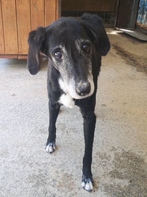 1 IMG 20200702 131122