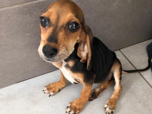 1 3PHOTO 2020 07 04 09 47 12