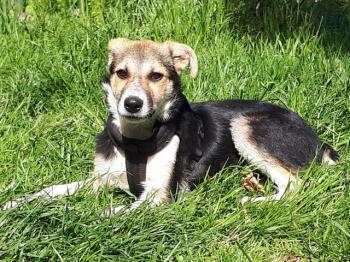 thumb 1 PHOTO3 2020 05 04 16 41 13