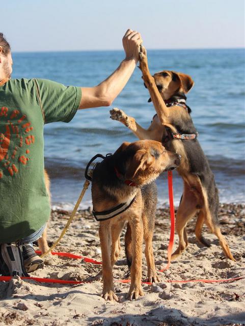 1 IMG 3856 Large 001