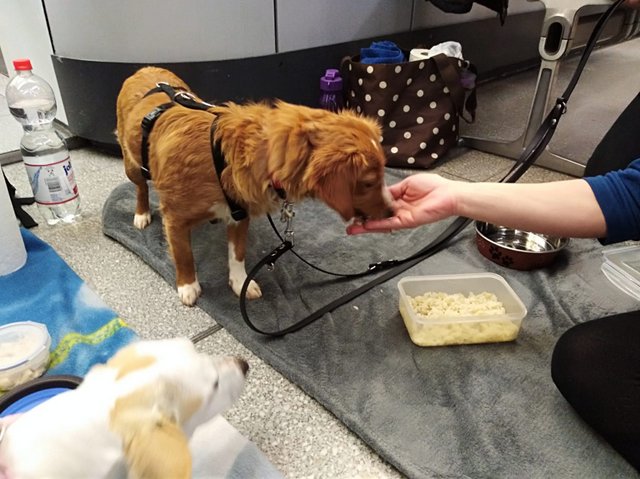 1 2PHOTO 2019 01 21 18 38 06