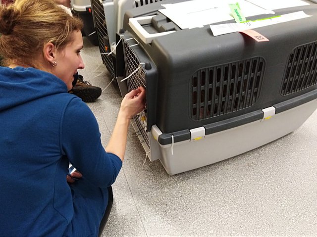 1 3PHOTO 2019 01 21 18 38 06