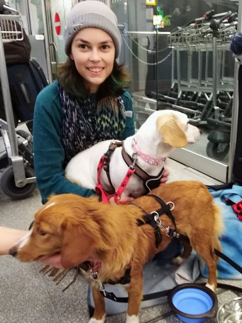 1 4PHOTO 2019 01 21 18 38 07