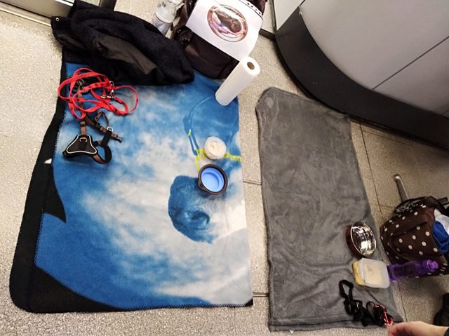 1 5PHOTO 2019 01 21 18 38 08