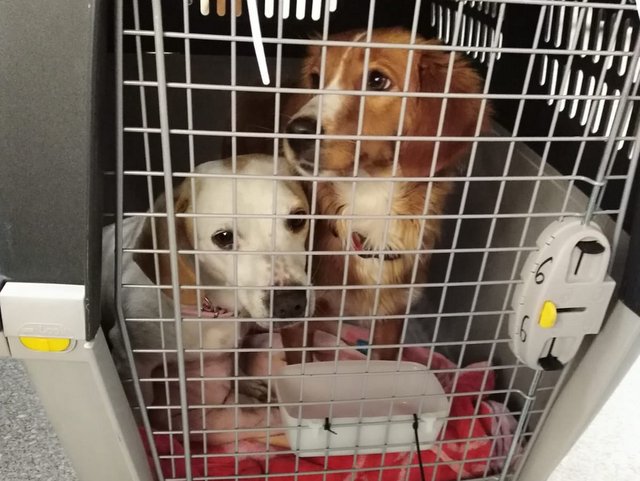 1 PHOTO 2019 01 21 18 38 01