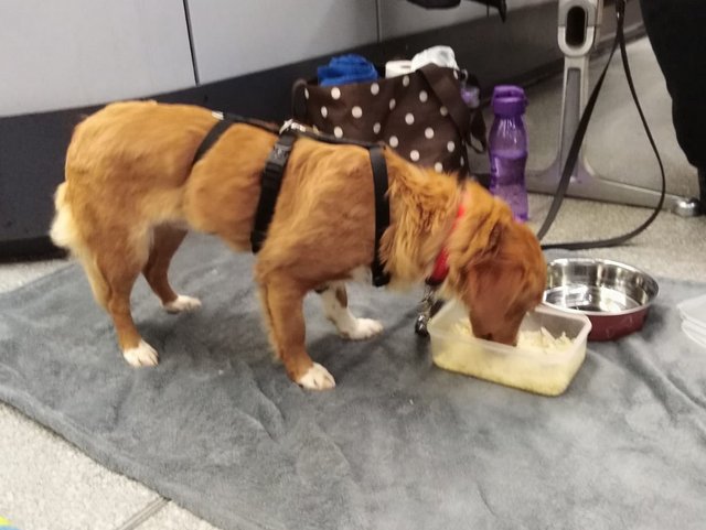 1 PHOTO 2019 01 21 18 38 07