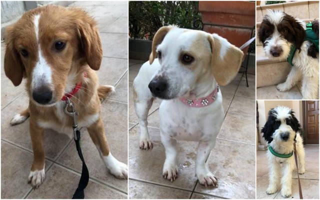 1 berlin frankfurt 20 01