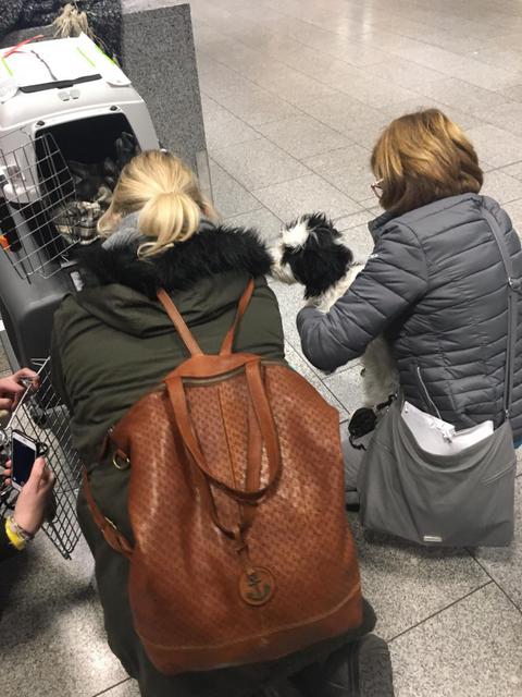 1 2PHOTO 2019 01 24 15 51 08