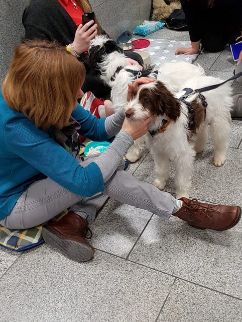 1 3PHOTO 2019 01 24 15 51 08