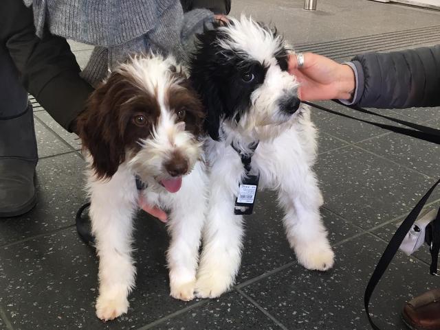 1 4PHOTO 2019 01 24 15 51 08