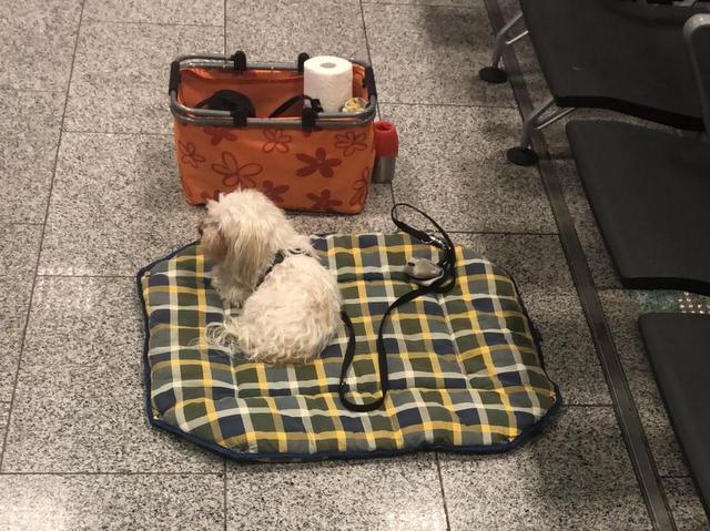 1 5PHOTO 2019 01 24 15 51 010