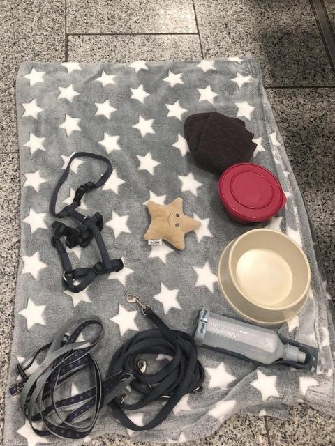 1 5PHOTO 2019 01 24 15 51 09