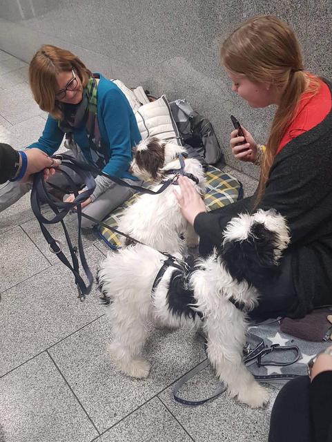 1 6PHOTO 2019 01 24 15 51 09