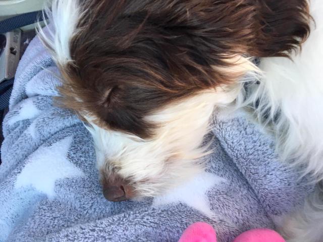 1 7PHOTO 2019 01 24 15 51 010