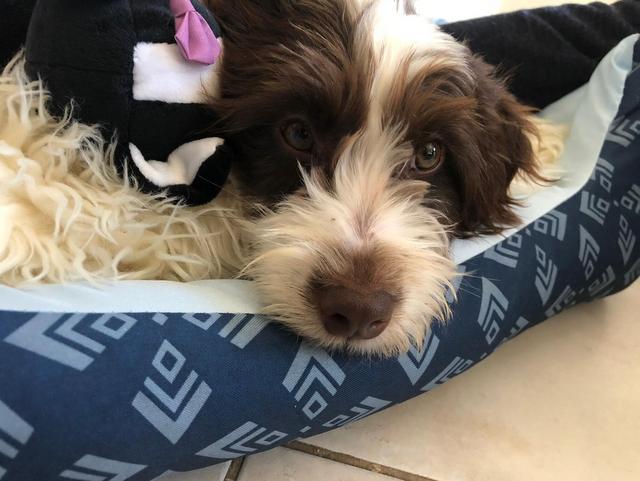 1 PHOTO 2019 01 24 15 51 07