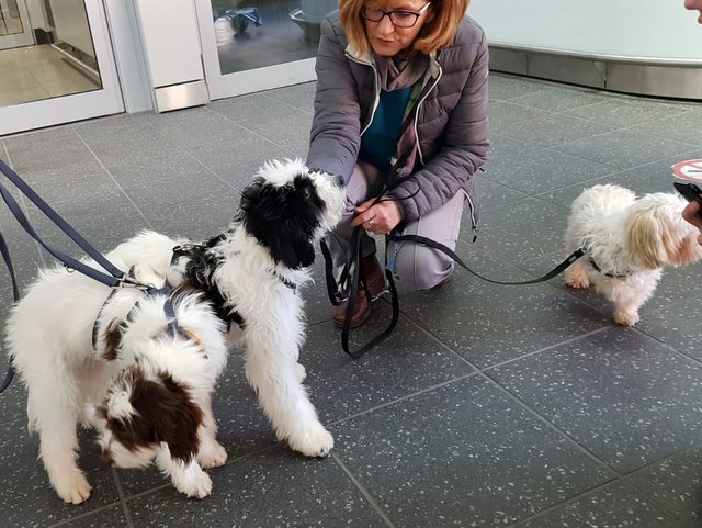 1 PHOTO 2019 01 24 15 51 09