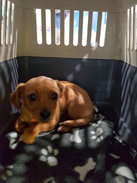 1 51452636 359168891337924 7146384916899430400 n