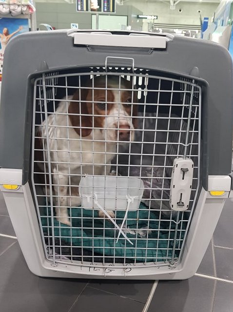 1 51745119 395228214572559 2232083573039431680 n