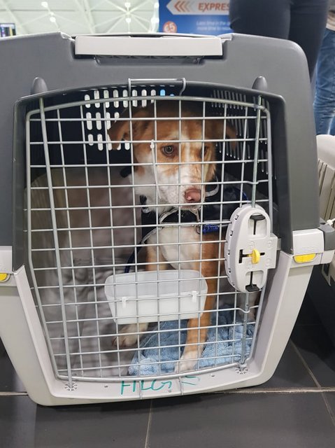 1 52063659 537983096696122 2340249068803981312 n