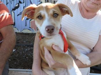 thumb Monty Photo 3 Dec 2018