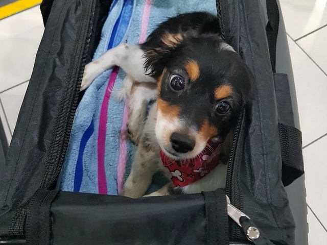 1 50623484 2230731933848574 7546271128348524544 n