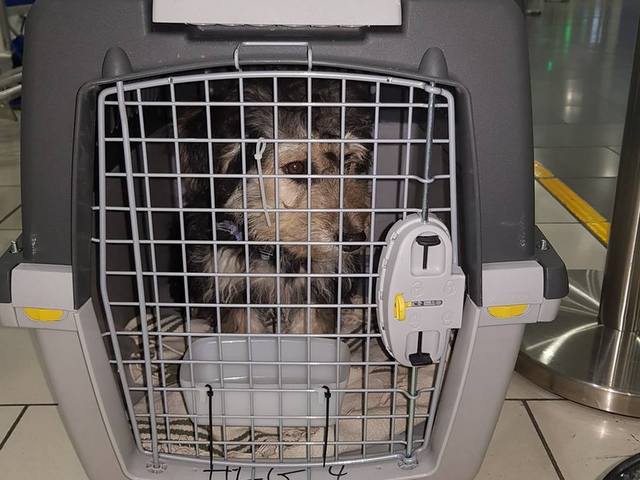 1 50810146 382739039216682 3566403429414731776 n