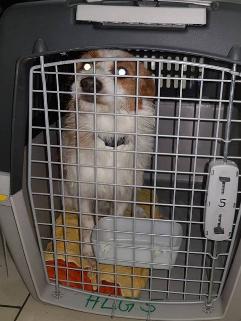 1 51142212 1010780972446576 1902746335480643584 n