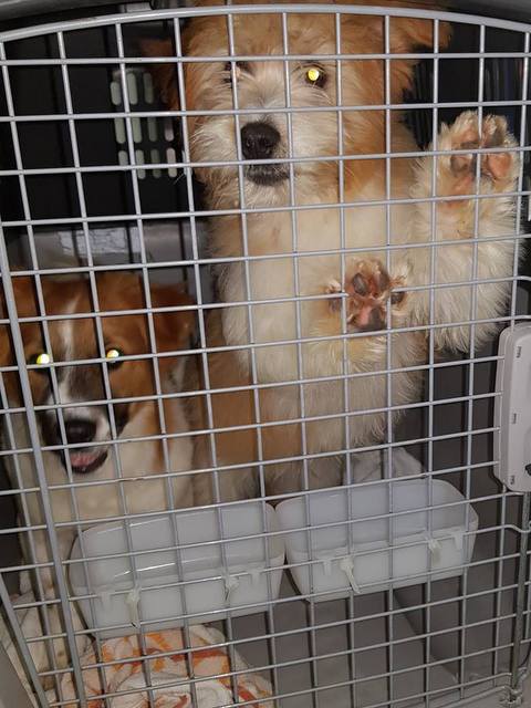 1 51161357 628295857626628 3644308153274728448 n