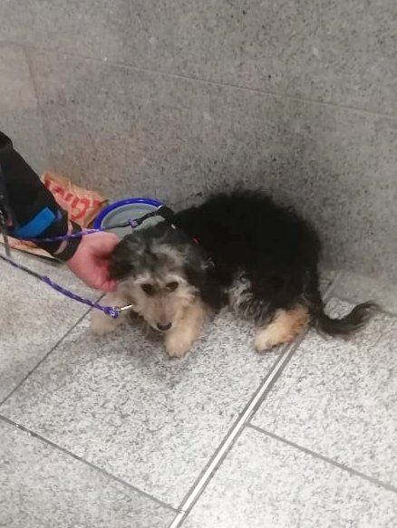 1 1PHOTO 2019 01 29 22 29 23