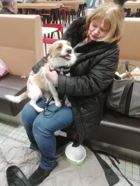 1 2PHOTO 2019 01 29 22 29 24