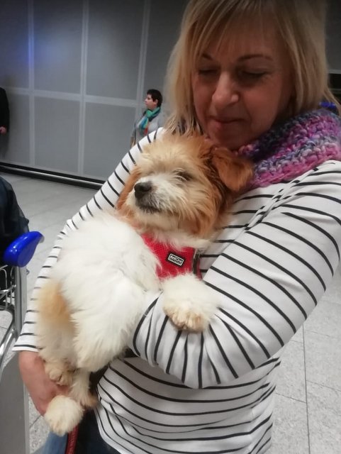 1 PHOTO 2019 01 29 22 29 23