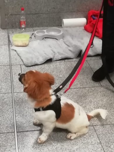 1 PHOTO 2019 01 29 22 29 24