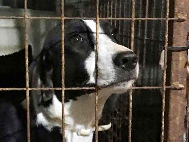 PHOTO 2018 12 10 19 37 23