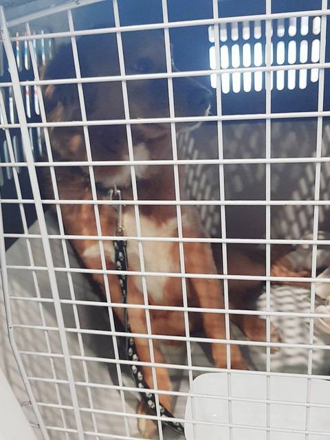 1 50026307 598165220644153 449149267290882048 n