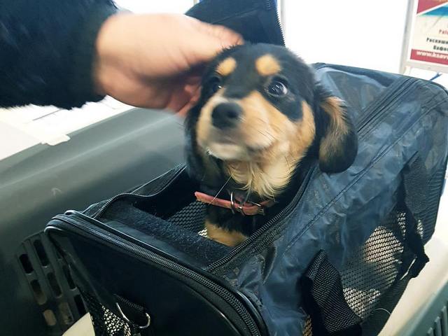 1 50170599 324033361775443 1237757571243180032 n