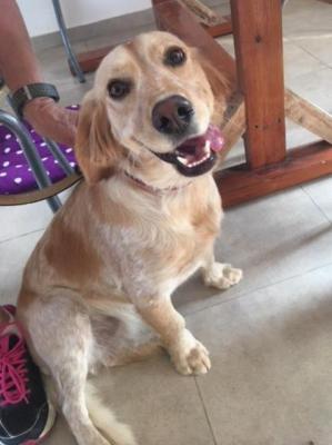 thumb Sonia Photo 11