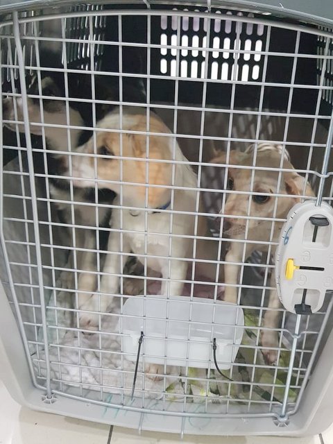 1 51459383 417072832374056 2754465760758726656 n