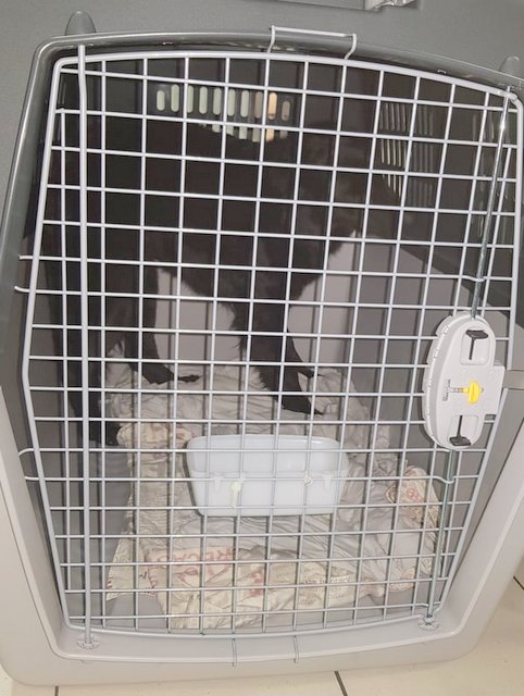 1 51769759 296316191080712 5382783551735332864 n